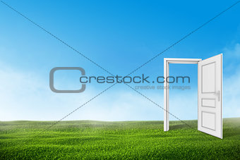 White open door on the green grass lawn with blue sky