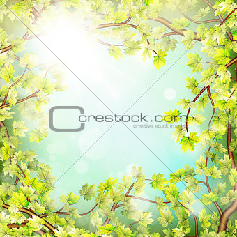 Season branches with fresh green leaves. EPS 10
