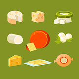 Different Types of Cheese Vector Illustration Set