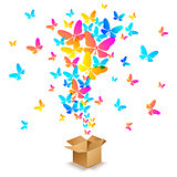 box with colorful butterflies