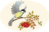 Tit takes sits down with Rowan branches with berries. EPS10 vector illustration.