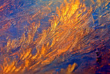 Sparkling ice-rich frosty pattern of thin ice on the window at sunset