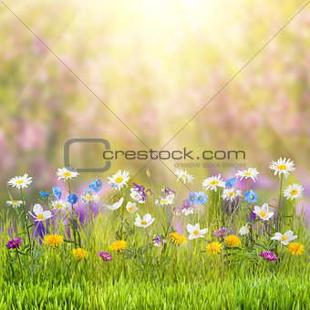 Floral meadow