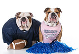 sports hounds