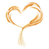 Wheat ears Heart isolated on the white. EPS 10