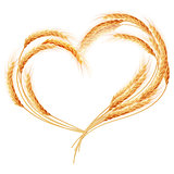 Wheat ears Heart isolated on the white. EPS 10