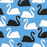 Swan couples on blue background vector seamless pattern, background, wallpaper
