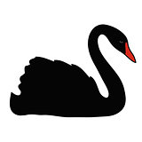 Black vector swan