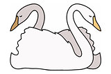 vector illustration of two swans in love