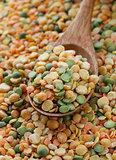 colorful mix natural organic lentils for healthy food