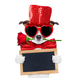 valentines dog in love