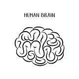 Abstract human brain icon