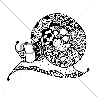 Art snail, ornate zentangle style for your design