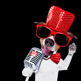 karaoke singing dog