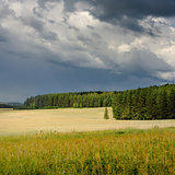 Storm clouds over wheat field