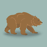 Kodiak angry bear 