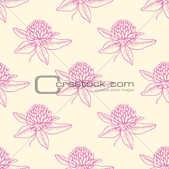 Pattern with pink clover flowers