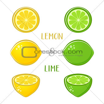 Vector lemon and lime illustrations