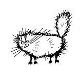Funny fluffy cat, sketch for your design