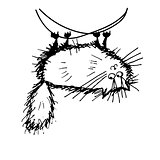 Funny fluffy cat, sketch for your design