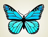 Butterfly. Vector illustration 