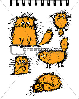 Fluffy orange cats collection, sketch for your design