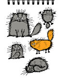 Fluffy cats collection, sketch for your design