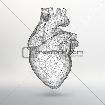 Creative concept Background of the human heart. Vector Illustration eps 10 for your design.