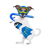 scuba diving dog