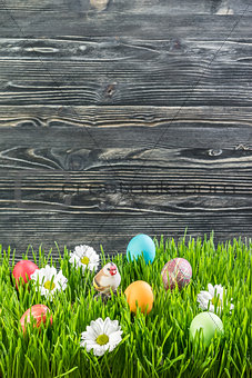 Easter Eggs in Grass