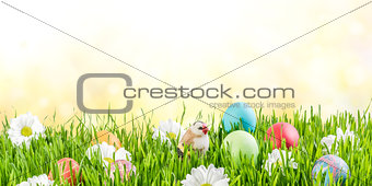 Easter Background with Eggs and Flowers