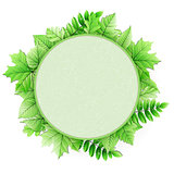 Fresh green leaves vector border. EPS 10