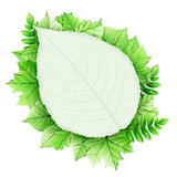 Fresh green leaves vector border. EPS 10