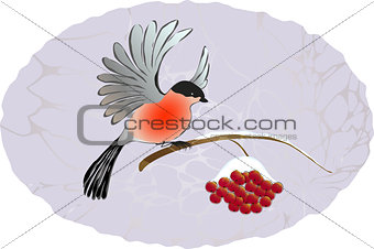 Winter landscape. Bullfinch on the branch of rowan. EPS10 vector illustration
