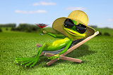 Frog in a deck chair on the grass