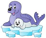 Happy seal with pup theme 1