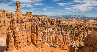 Hoodoos in the Amphitheater in Bryce Canyon
