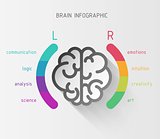 Brain nfographic concept