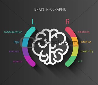 Brain infographic concept