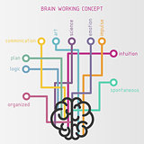 Brain working concept