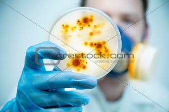 Infection And Disease Control