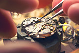 Working On A Mechanical Watch