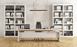 Black and white modern office 