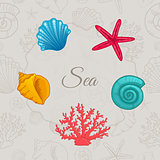Set of colorful seashells with seamless pattern