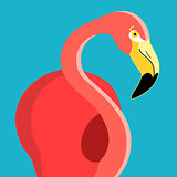 portrait of a flamingo