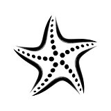 Black vector stylized starfish