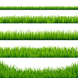 Green Grass Big Set