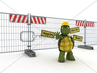 tortoise with construction barrier fence