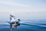 transparent piece of ice Lake Baikal.  blue ice.