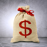 Money bag with dollar sign